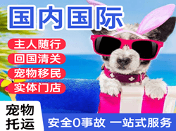 朔州空运国际宠物托运 【国